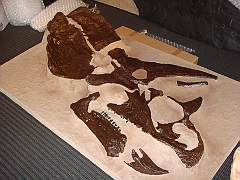 008 Cranbrook Institute of Science [2008 Jan 02]